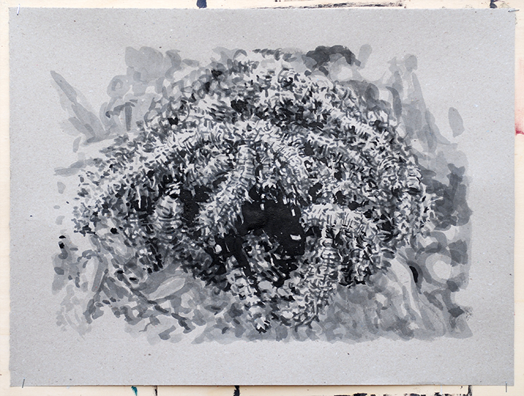 Pat Noser Katerpillar 2 2019 38 x 50 cm Tusche auf Papierm.jpg