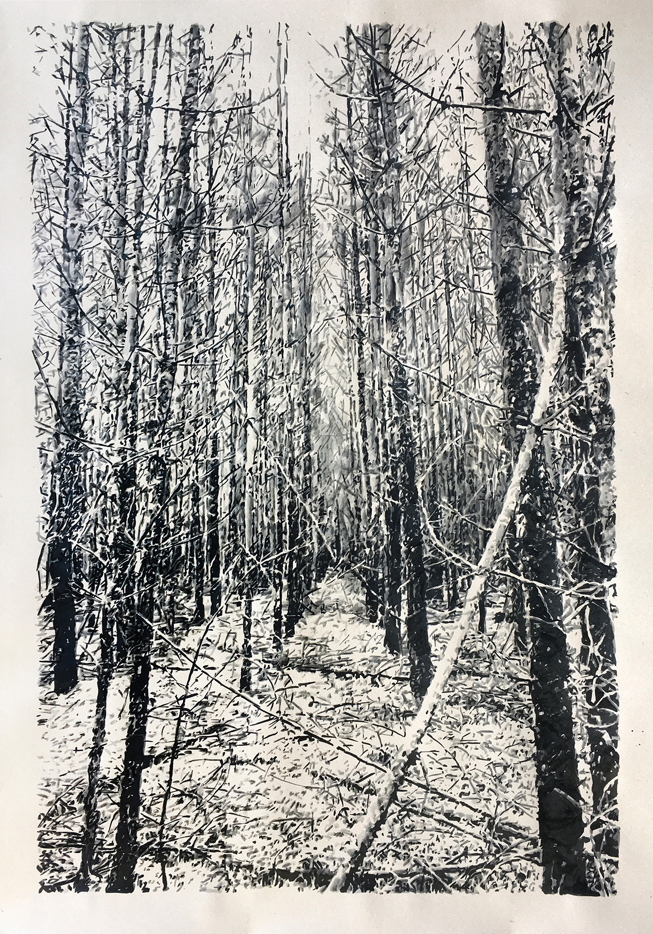 Pat Noser Kultur 2020 200 x 150 cm Tusche auf Abdeckkartoncutm